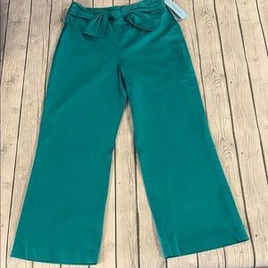ANTONIO MELANI Teal Wide Leg Pants with back zipper and tie front, size 12
